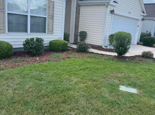 Kelvin G.'s Bush Trimming service result