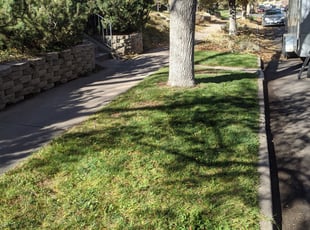 Cleanups by Gregory Lillibridge for Mikki H. in Denver, CO