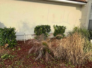 Bush Trimming by Marvin Jenkins for Phillip E. in Yulee, FL