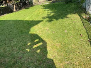 JS L.'s Grass Cutting service result