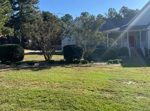 Bush Trimming by Jaczuile Pegues for Alexus H. in Elgin, SC