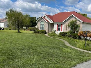 Iliana T.'s Lawn Care service result