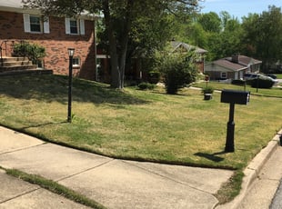 Leaf Removal by Shawn Winston for Donna B. in District Heights, MD
