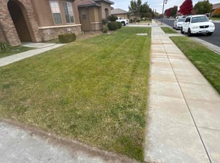 Robert C.'s Lawn Mowing service result