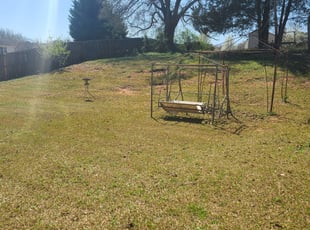 Bush Trimming by Jamie Paul for Mary B. in Griffin, GA