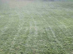 linda m.'s Grass Cutting service result