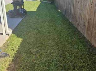 Tameka L.'s Grass Cutting service result