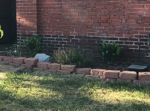 Bush Trimming by Chris Heath for Hayley W. in Denver, CO