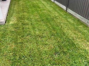 Mark S.'s Lawn Mowing service result