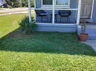 Weeding by Stephen Peffly for Sheri B. in Seminole, FL