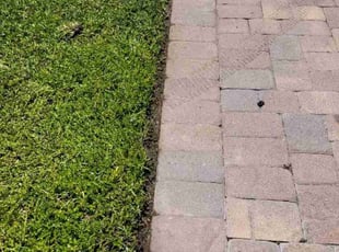 Terri T.'s Lawn Care service result