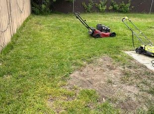 Kiersten B.'s Yard Cutting service result