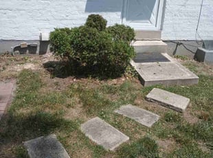 Bush Trimming by Caleb Patton for Jack W. in Cincinnati, OH