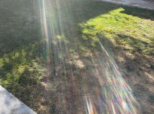 Leaf Removal by Eugenio PΓ©rez for Alan G. in Denver, CO
