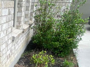 Marcus C.'s Flower Bed Weeding service result
