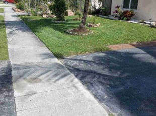 Israel C.'s Lawn Care service result