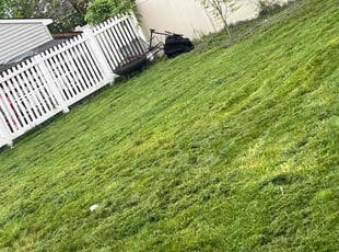 Landscaping by Jose Barroso for Rebecca S. in Warminster, PA