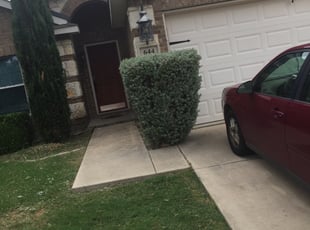 Bush Trimming by Gerson Rojo for Ramon L. in Lavon, TX