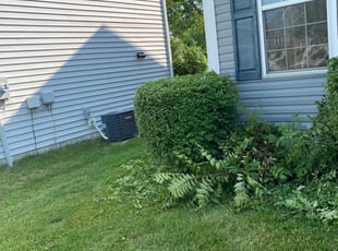 Bush Trimming by Ralphiel Hughley for Douglas W. in Canal Winchester, OH