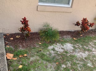 Weeding by Darian Maya for Renee D. in Titusville, FL