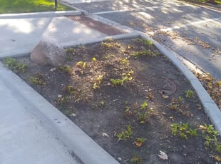 Leaf Removal by Maria Torres for Shon D. in Chicago, IL