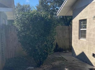 Bush Trimming by Jordan Davis for Janella R. in Winter Haven, FL