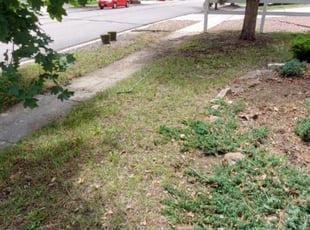 Leaf Removal by Lucas Hunt for Justine A. in Colorado Springs, CO
