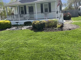 Bush Trimming by Bill Giampa for Mary D. in Woodbridge, VA