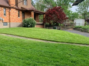 Jade S.'s Lawn Maintenance service result