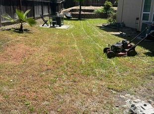 Cleanups by Gabriel Aldrete for Niko C. in Rocklin, CA
