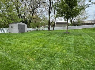 Matthew A.'s Lawn Mowing service result
