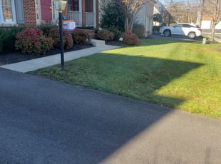 Leaf Removal by Nemesio Hernandez for Kenneth C. in South Riding, VA