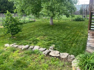 Brian S.'s Grass Cutting service result