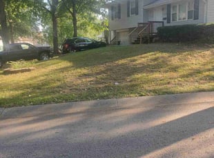 Bush Trimming by Vess Schine for Ryan W. in Kansas City, MO