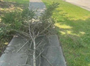 Landscaping by Lakeworth Landscape for Ugne C. in Sterling Heights, MI