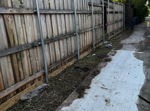 Leaf Removal by Marcus Carranza for Kelsey P. in Dallas, TX