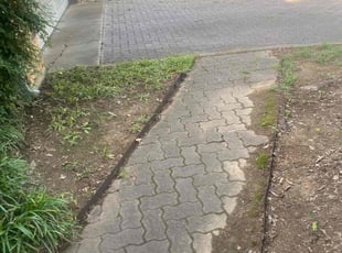 Leaf Removal by Victor Ramirez for Karen C. in Arlington, TX