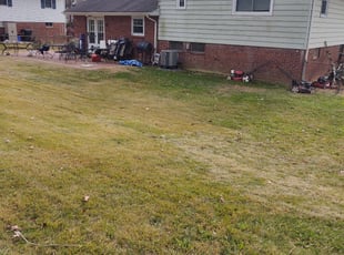 Leaf Removal by Allan Roberts for Jared T. in Springfield, VA
