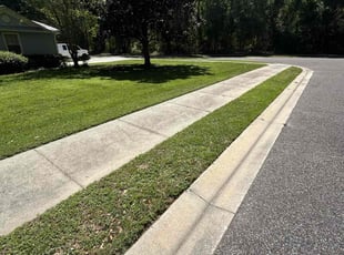 Dixon A.'s Lawn Service service result