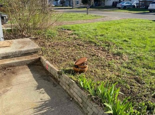 Cleanups by Darren Mudget for Alyssa H. in Lansing, MI