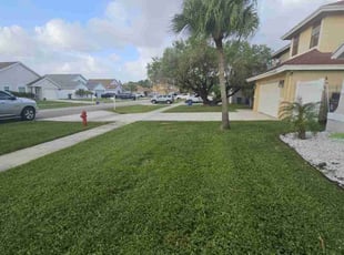 Andrea R.'s Lawn Care service result