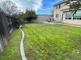 Toriann S.'s Grass Cutting service result