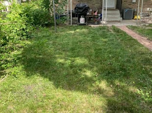 Cleanups by Frank Oliver for Sarah M. in Minneapolis, MN