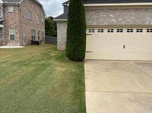 Ruth D.'s Bush Trimming service result