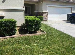 Bush Trimming by Michael Bell for ERIC W. in Patterson, CA
