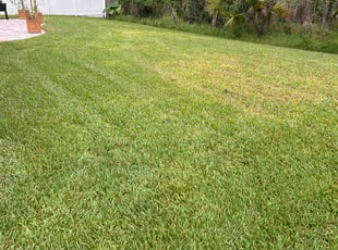 Kelly B.'s Lawn Mowing service result