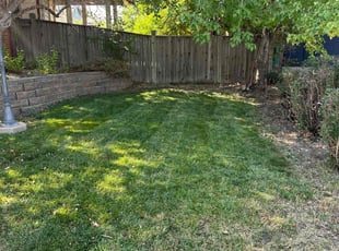 Cathy F.'s Lawn Mowing Service service result