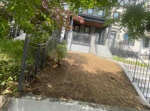 Cleanups by Amber Fuentes for Molly B. in Washington, DC