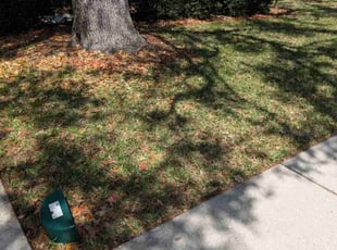 Leaf Removal by John Murtagh for Claude R. in Palm Harbor, FL