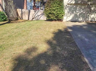 Leaf Removal by Brian Most for Jeane P. in Lenexa, KS